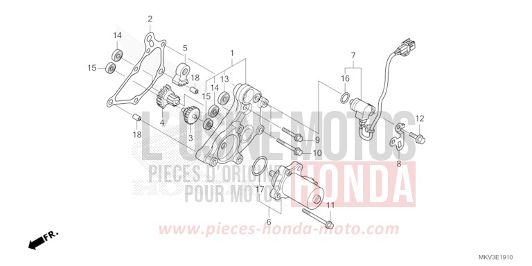 DEMULTIPLICATEUR von Forza 750 IRIDIUM GRAY METALLIC (NHC65) von 2023